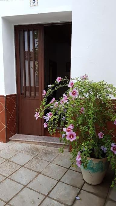 Casa Jara *