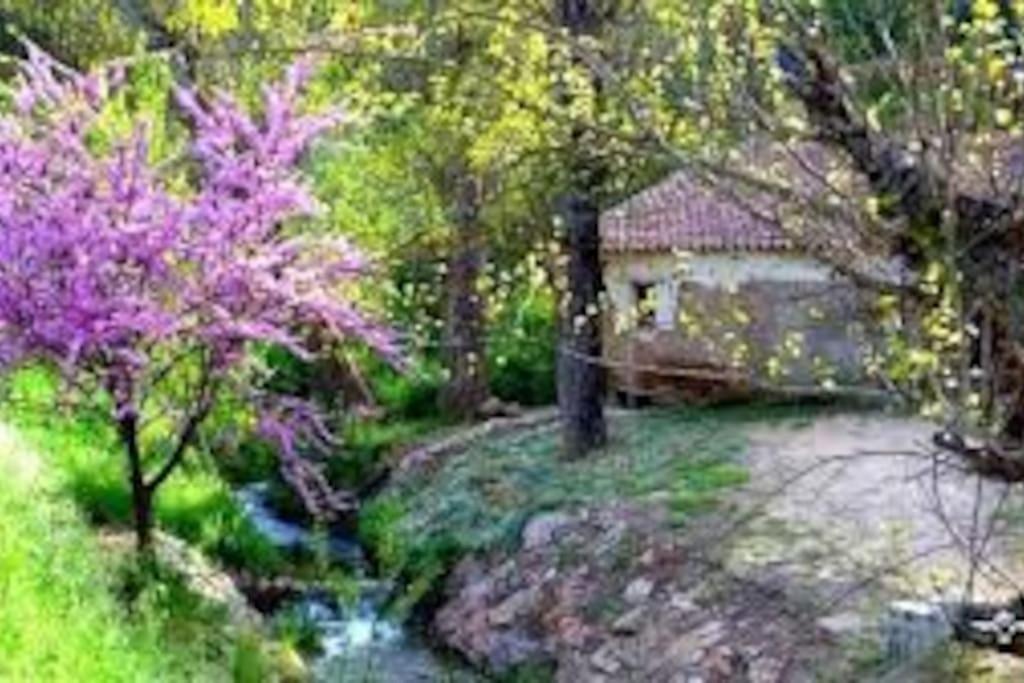 Holiday home Casa Jara *